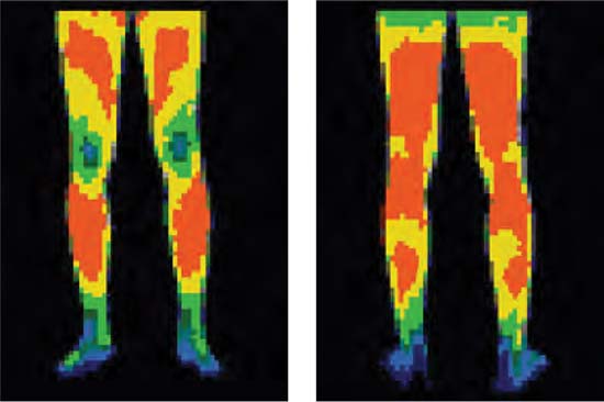 Heat map of conventional work pants - Front and rear view